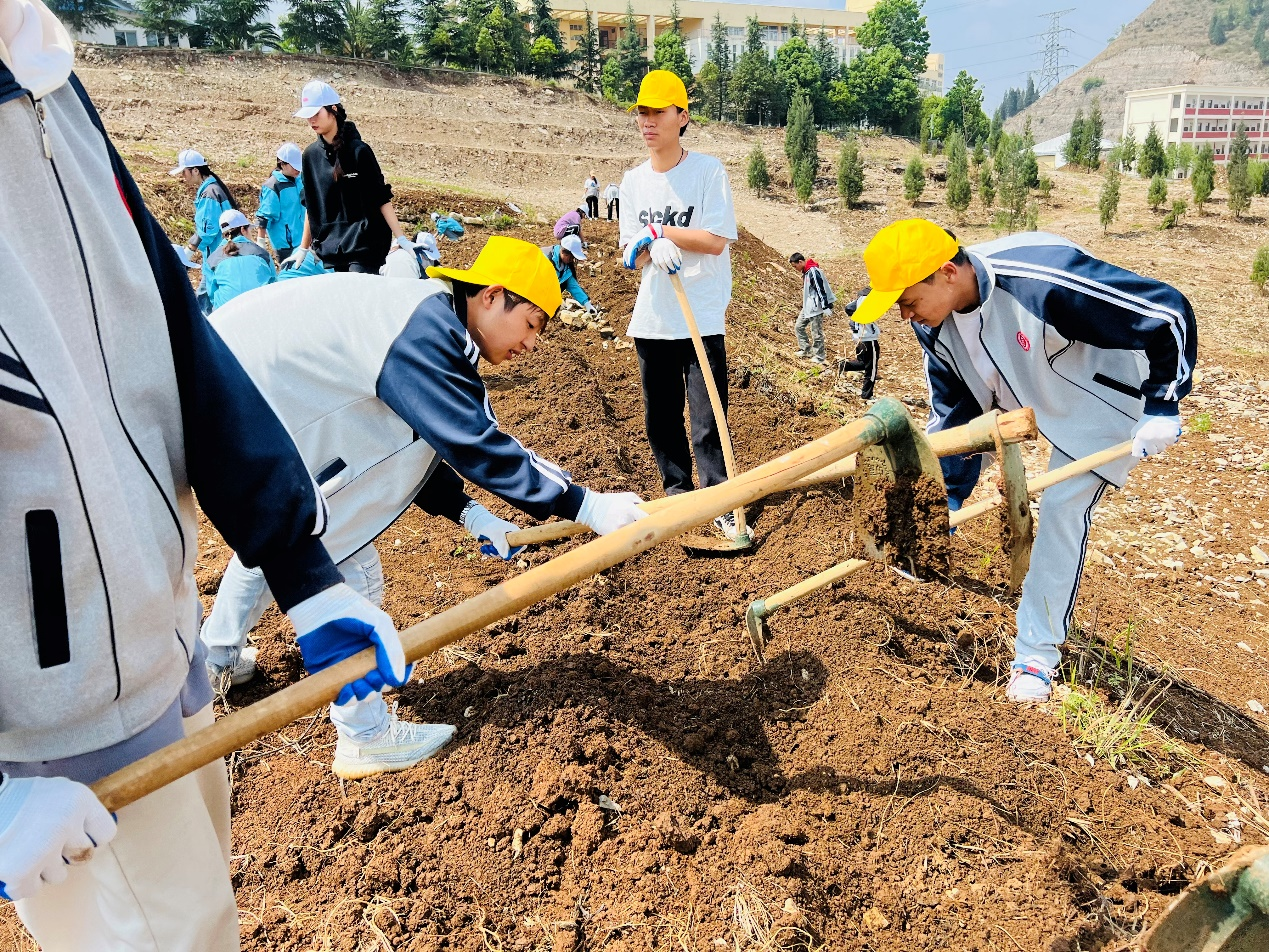 田园劳作、农家体验